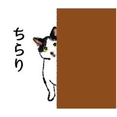 [LINEスタンプ] 湯川家のかわいいさんたち