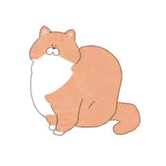 [LINEスタンプ] 【文字なし】ねこスタンプ