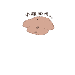 [LINEスタンプ] 中顔面ながめのプードル