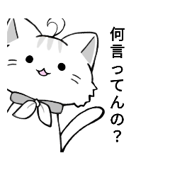 [LINEスタンプ] 凡庸性の高いかわいい猫