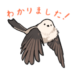 [LINEスタンプ] 日々を彩る野鳥たち