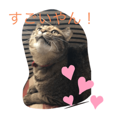 [LINEスタンプ] あんずちゃん 2