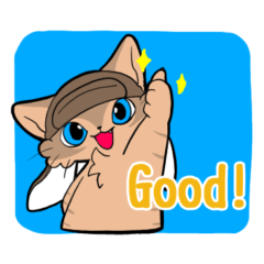 [LINEスタンプ] のあねこ♡かわいい英語スタンプ