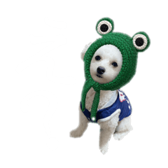 [LINEスタンプ] しばれろう