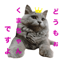 [LINEスタンプ] 男かな？女かな？でお馴染みのクマです！1