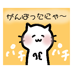 [LINEスタンプ] ねこにゃーんこスタンプ