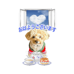 [LINEスタンプ] トイプージョンくんの日常スタンプ