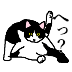 [LINEスタンプ] ハチワレ猫 のれんちゃん