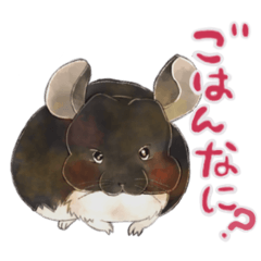 [LINEスタンプ] チンチラのウルちゃん