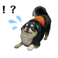 [LINEスタンプ] スーパーまめ太スペシャル