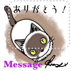 [LINEスタンプ] 猫で送るメッセージの画像（メイン）