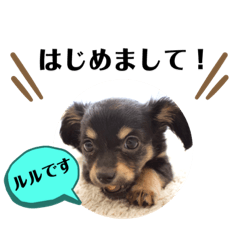 [LINEスタンプ] ごきげんルルンプ Ver.1