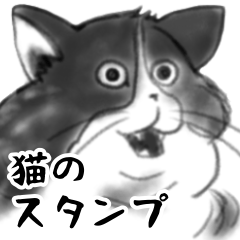 [LINEスタンプ] 色々なネコのスタンプ