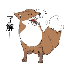 [LINEスタンプ] 日常で使えるキツネのスタンプ