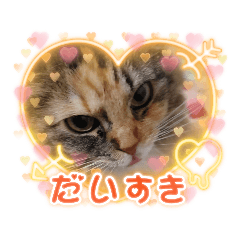 [LINEスタンプ] 我が家のれもねこ姫。