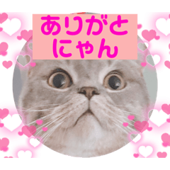[LINEスタンプ] ぎんたまる②