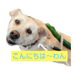 [LINEスタンプ] バニラぱん