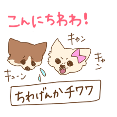 [LINEスタンプ] 潜り動物【基本編】 へんてこアニマル