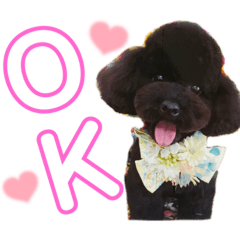 [LINEスタンプ] ♡廣岡犬♡