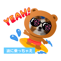 [LINEスタンプ] ぱぴぱぴパピヨン58