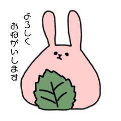 [LINEスタンプ] もちうさ ⸜❀⸝‍