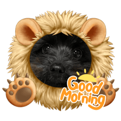 [LINEスタンプ] ひじhiji