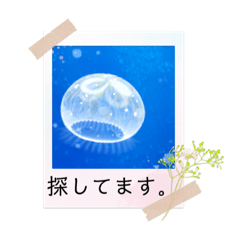 [LINEスタンプ] クラちゃん！！(育成ゲーム)