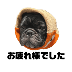 [LINEスタンプ] PUA.stamp