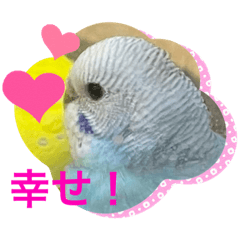 [LINEスタンプ] ゆきちゃんスタンプ32