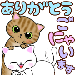 [LINEスタンプ] ❤️可愛い二重あごの小猫ちゃんの日常の画像（メイン）