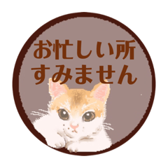 [LINEスタンプ] 大人可愛シックな子猫達♡丁寧で便利な敬語