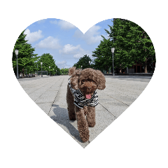 [LINEスタンプ] わんにゃんず②