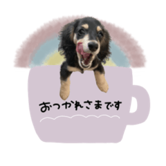 [LINEスタンプ] ♡maki様