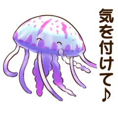 [LINEスタンプ] 敬語あり！毎日使えるクラゲスタンプ