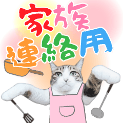 [LINEスタンプ] 【実写版】トラとハチワレ【家族連絡編】