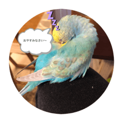 [LINEスタンプ] 動物シリーズ バイ琉