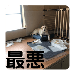 [LINEスタンプ] ペットで代弁③