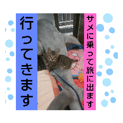 [LINEスタンプ] もか日常生活☆④