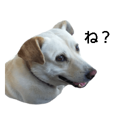 [LINEスタンプ] バニラぱん2