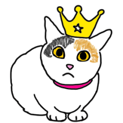 [LINEスタンプ] 高貴なる猫のスタンプ