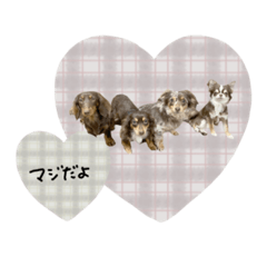 [LINEスタンプ] ♡ルビー・エクレア・ピス・ラブちゃん