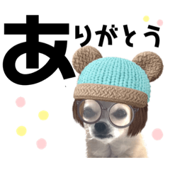 [LINEスタンプ] チワワのポポさん 8