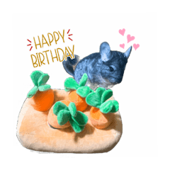 [LINEスタンプ] チンチラまるちゃん
