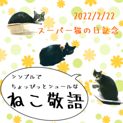 [LINEスタンプ] くろみやこーちゃんの実写ねこスタンプ2