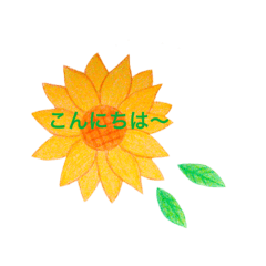[LINEスタンプ] かわいいお花と日常会話♡