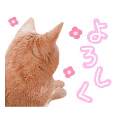 [LINEスタンプ] にゃにゃしか勝たん