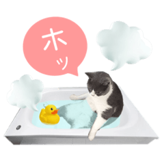 [LINEスタンプ] ねこ★デザインスタンプ2