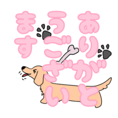 [LINEスタンプ] アニマル大好き