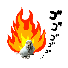 [LINEスタンプ] お鳥様スタンプ④