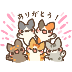 [LINEスタンプ] ねこいっぱい♡スタンプ